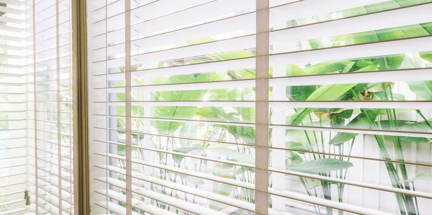 The Blinds Warehouse Limited 