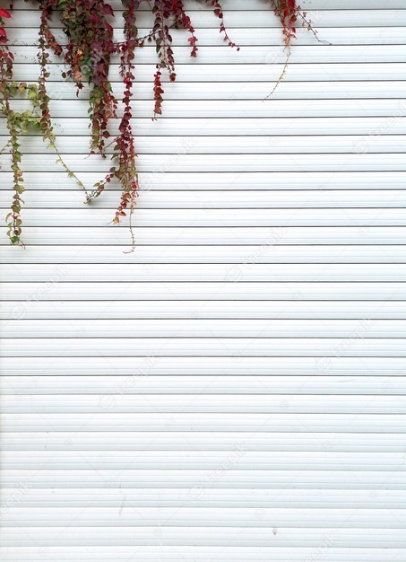 The Blinds Warehouse Limited 